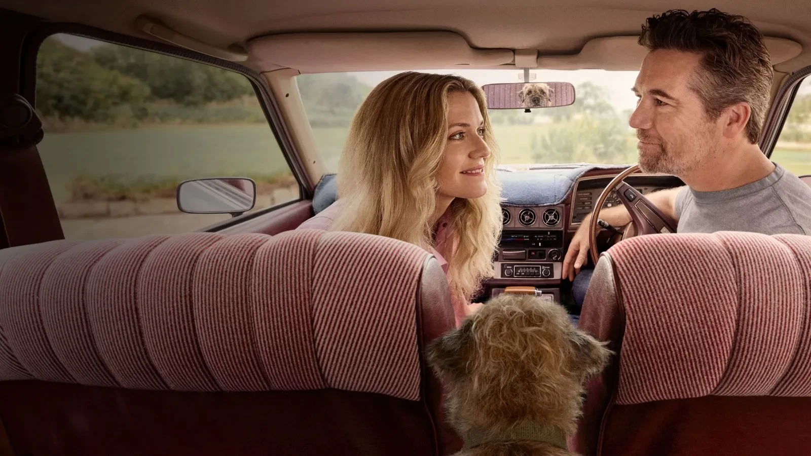  A promotional image for the TV series Colin from Accounts. Left to right: Harriet Dyer as Ashley and Patrick Brammall as Gordon. They are sitting in the front seats of a car, smiling at each other. A scruffy dog sits in the back seat between them, with its face also visible in the rearview mirror