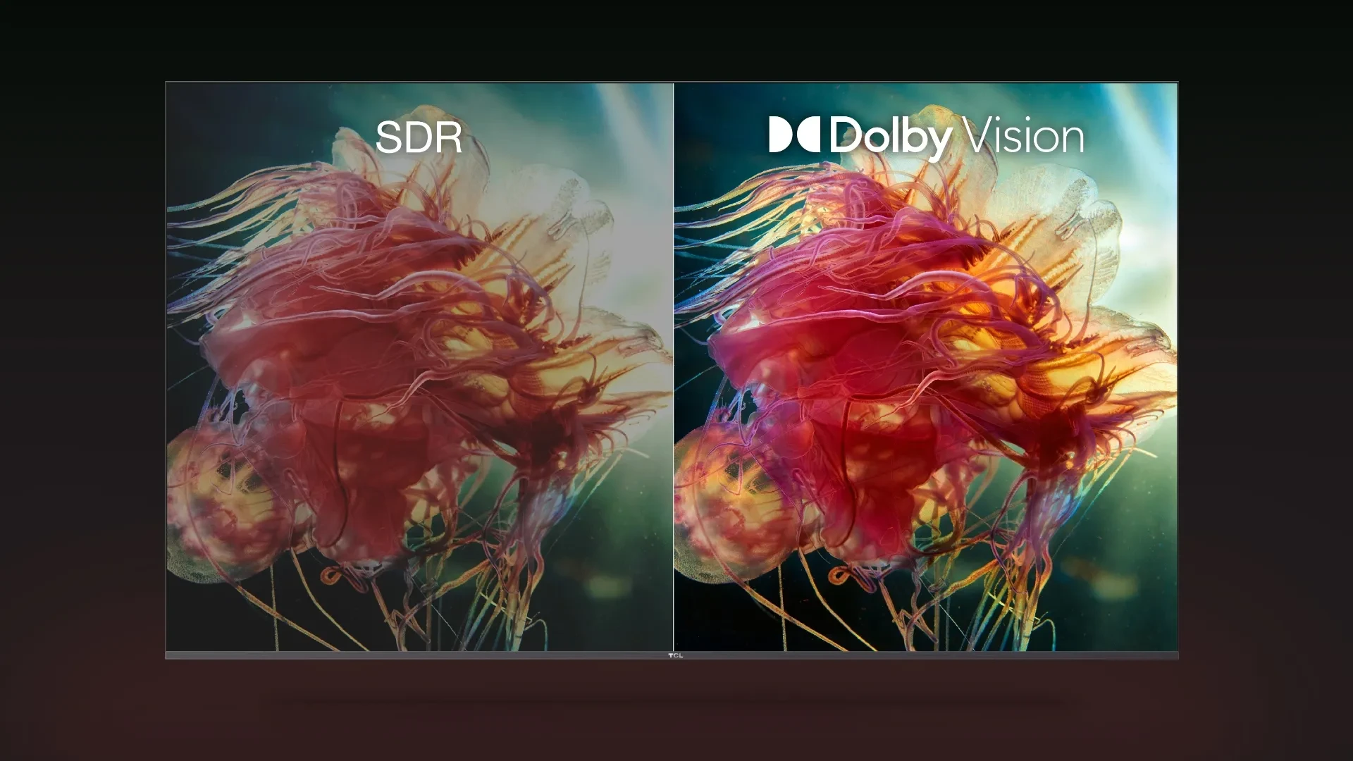 Promotional image for Dolby Vision technology on TCL