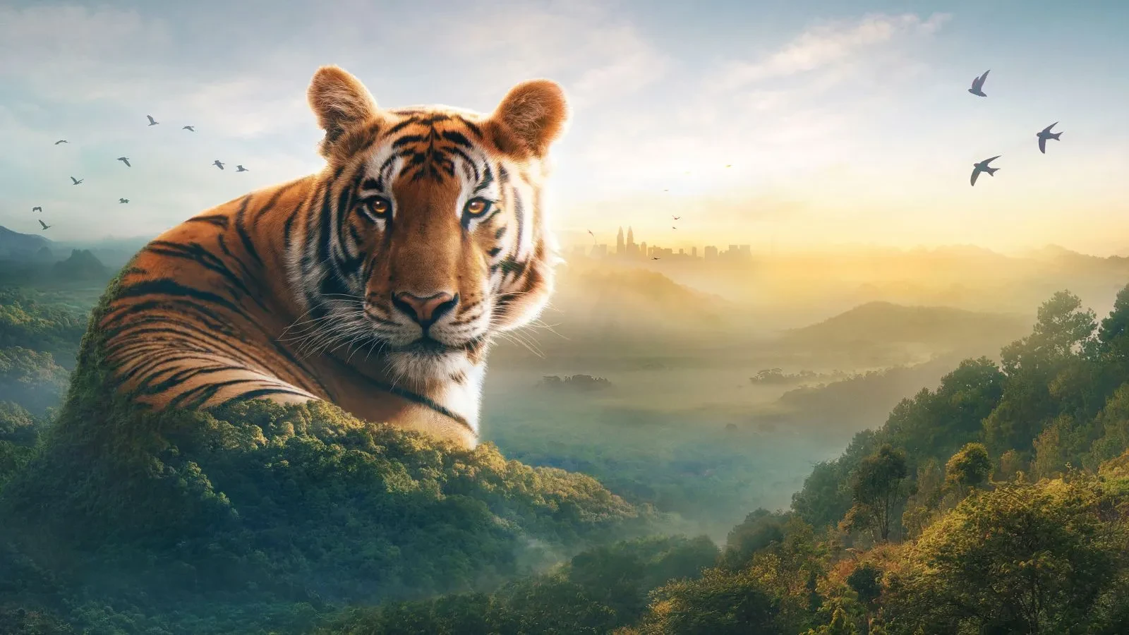 The image is a promotional graphic for the BBC nature documentary series Asia, presented by Sir David Attenborough