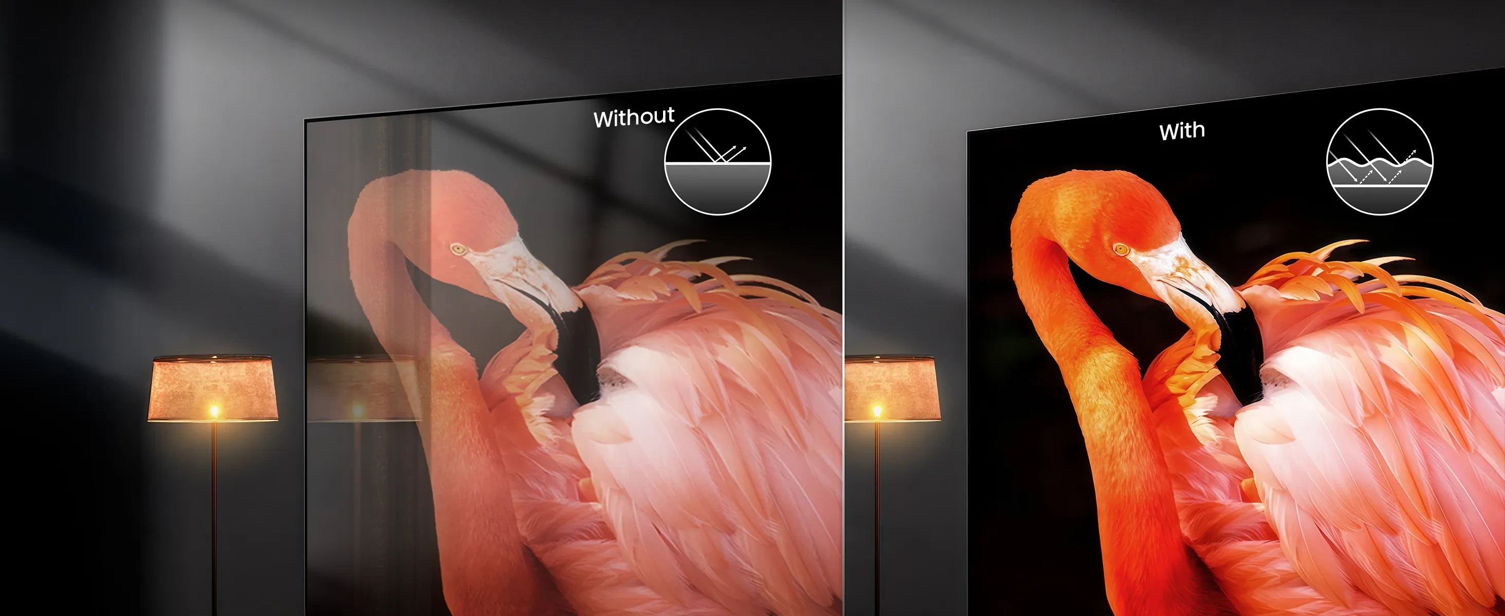 Hisense Anti Reflection & Glare 2026