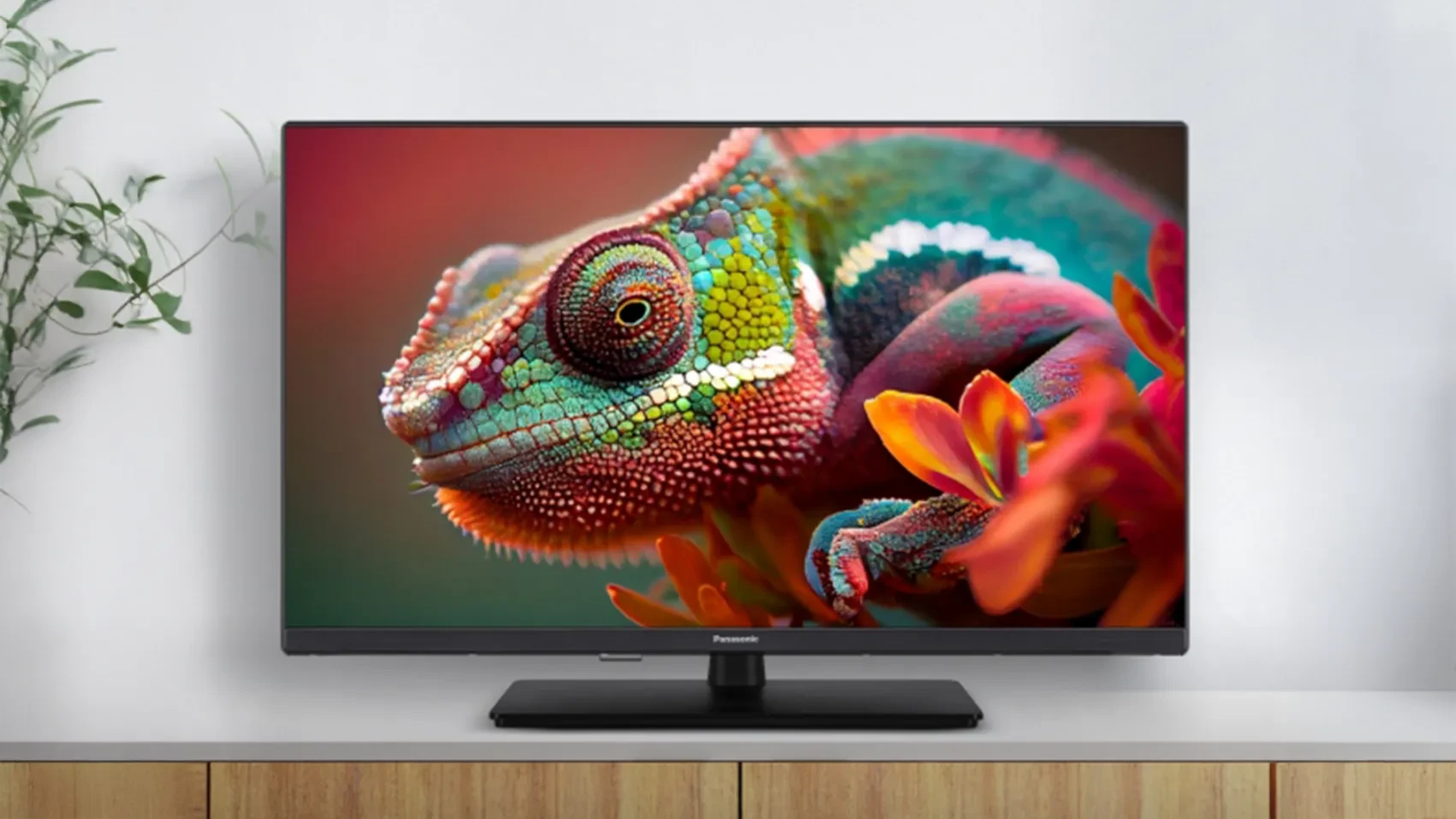 Panasonic HD Colour Engine feature 2026