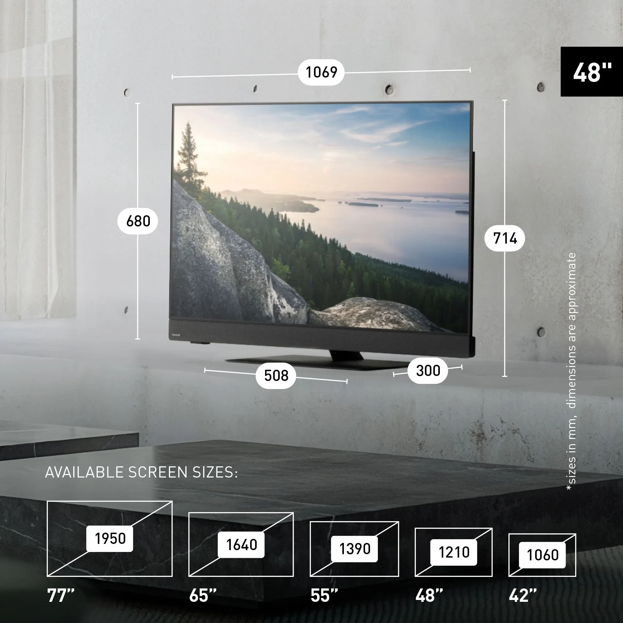Panasonic 48Z90B size