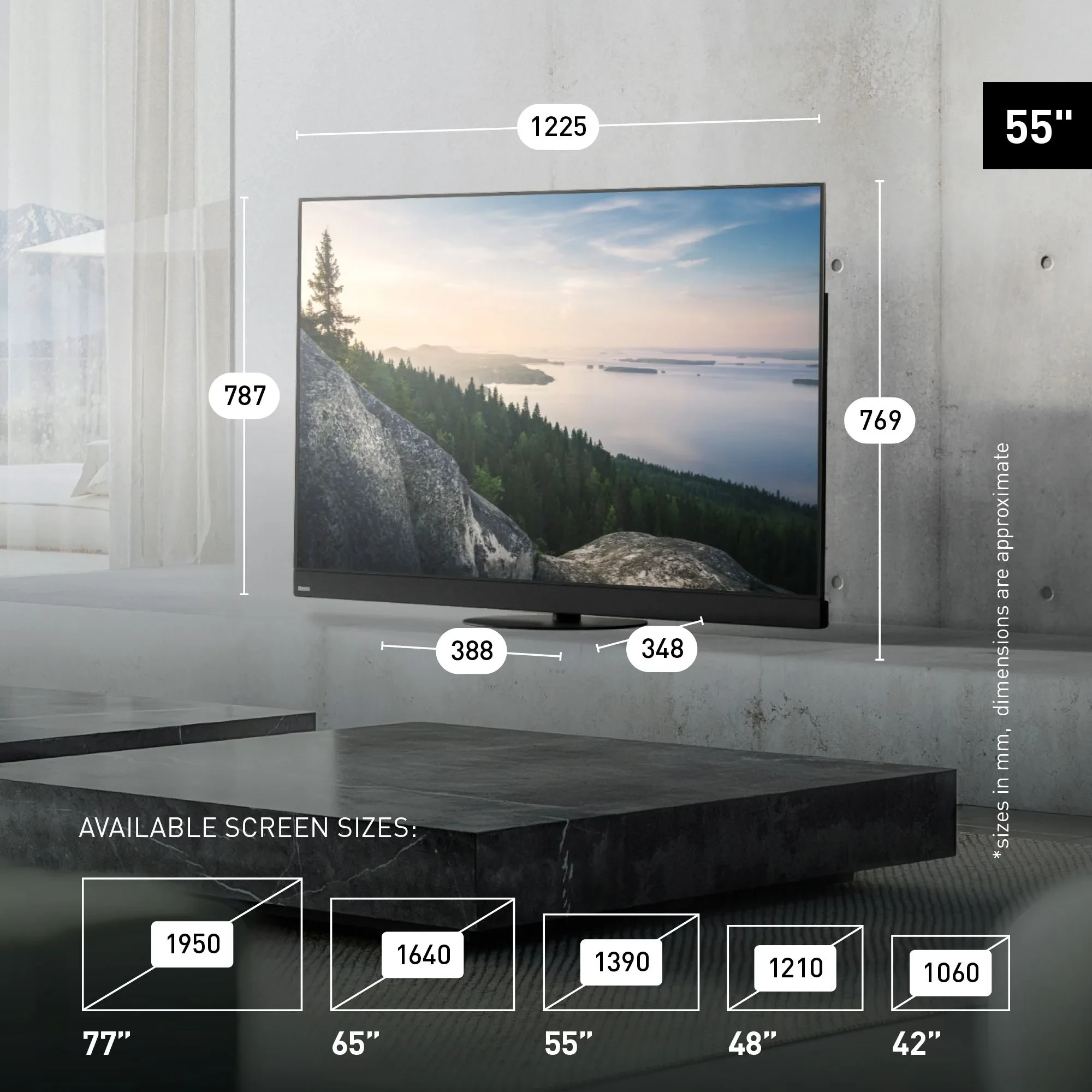 Panasonic 55Z90B size