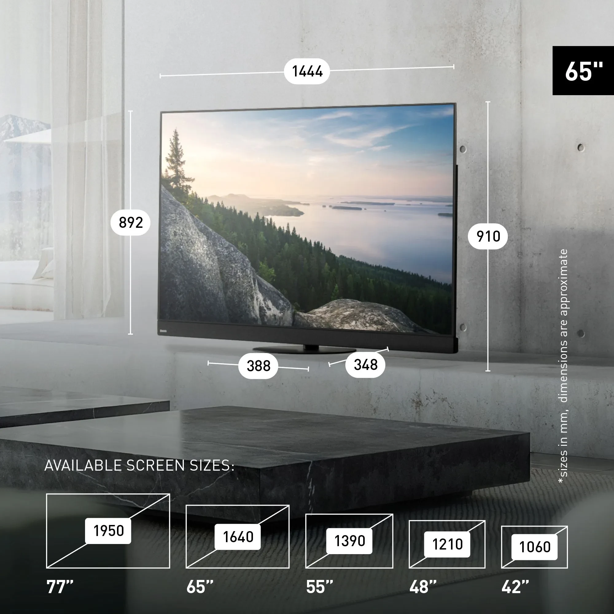 Panasonic 65Z90B size
