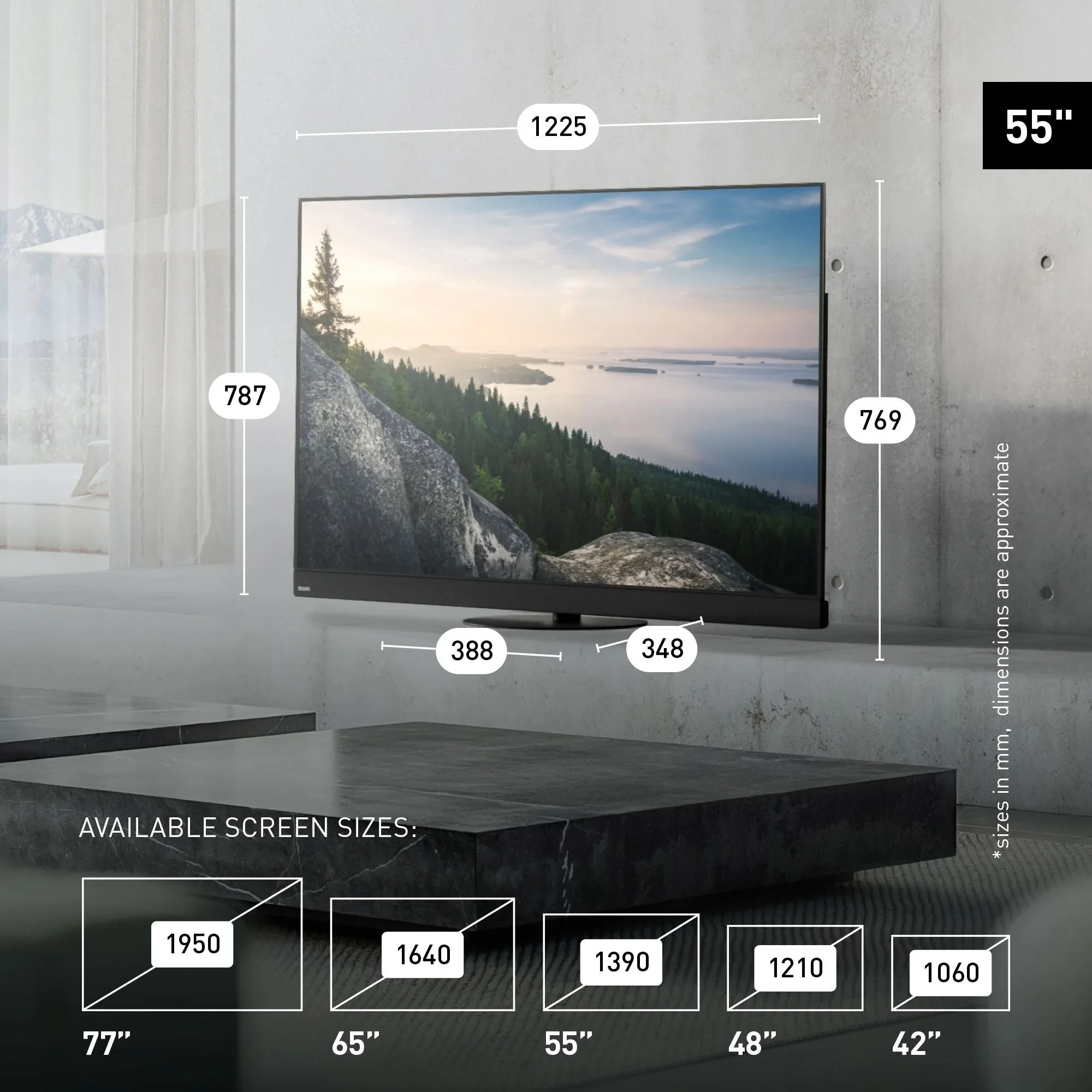 Panasonic 77Z90B size