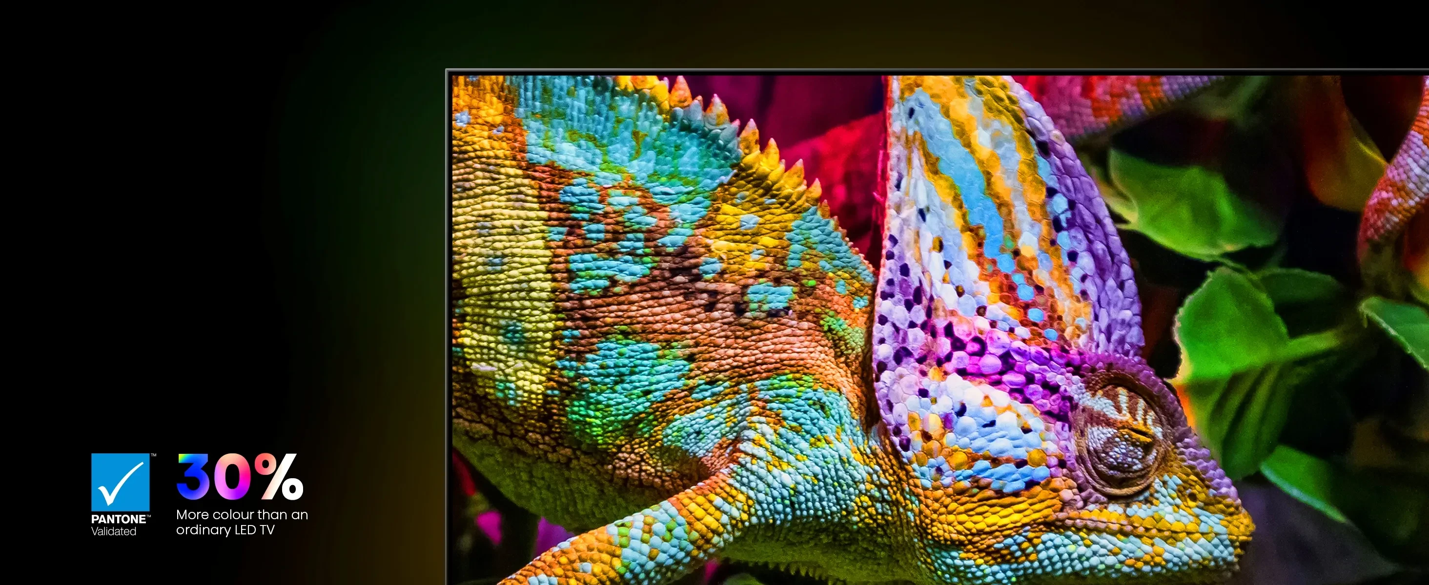 Hisense Hi-QLED Colour_Pantone Validated