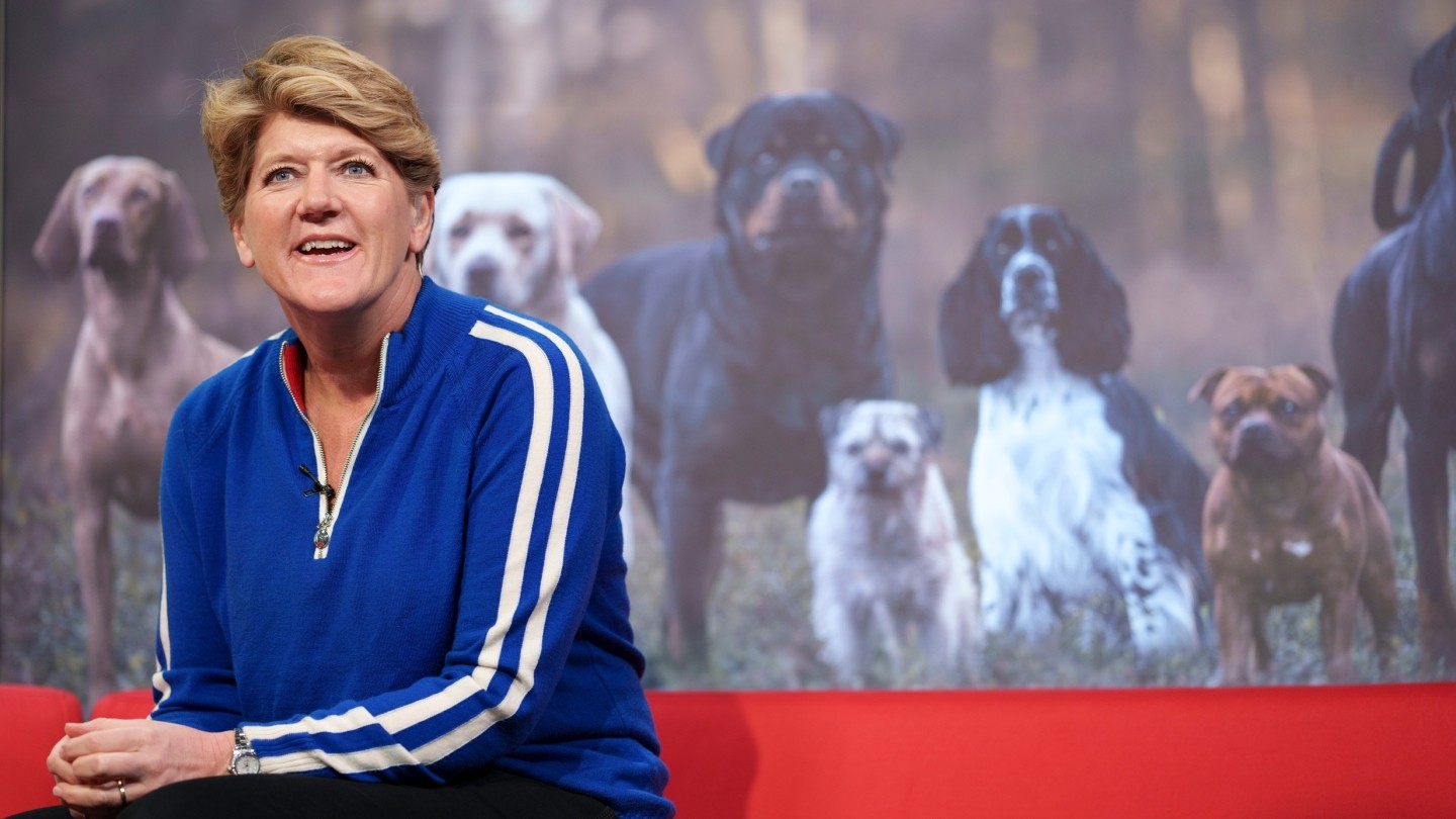 Crufts hosted by Clare Balding, who sits in front of a screen showing dogs