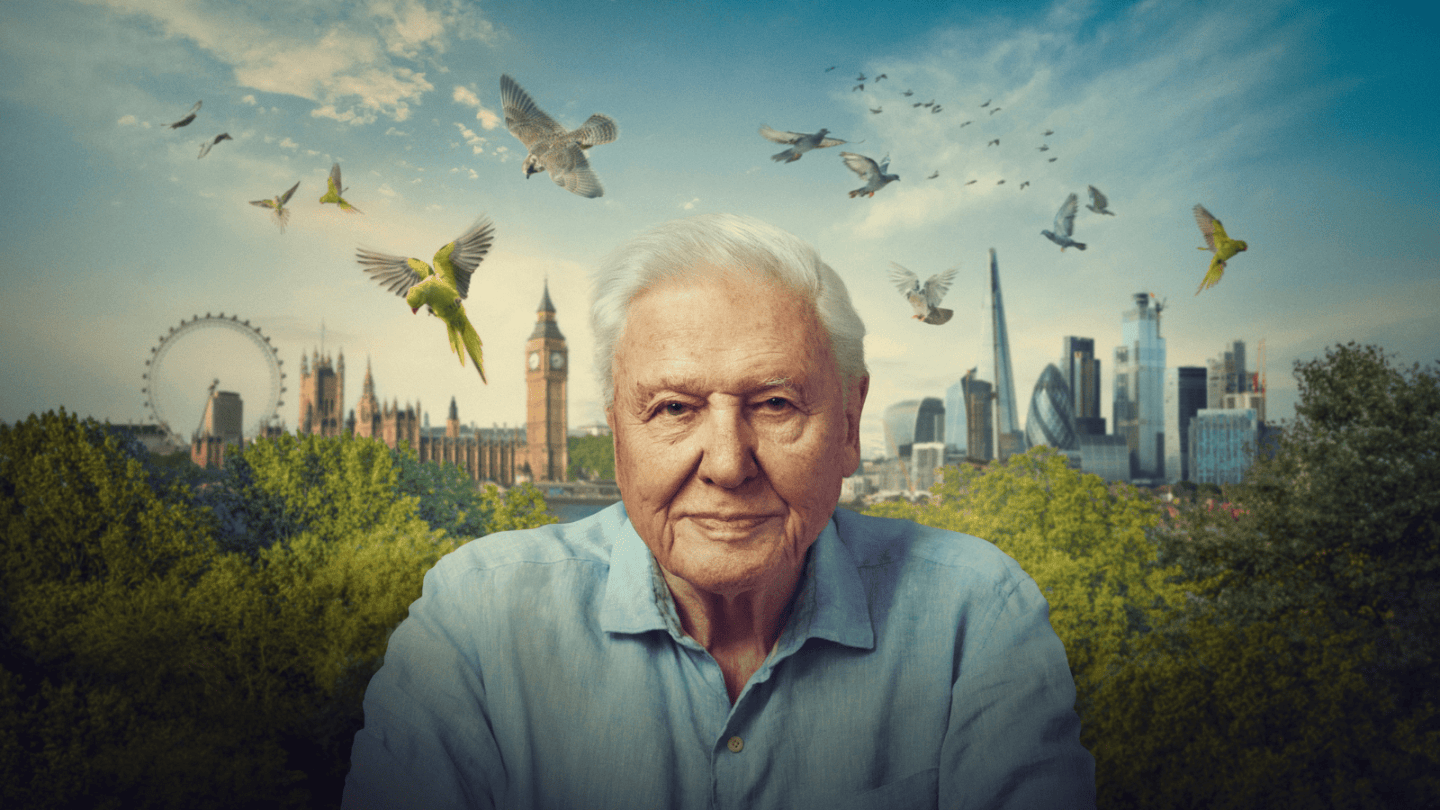 Sir David Attenborough stood in front of a background of a green looking London with birds flying in the sky for his documentary Wild London
