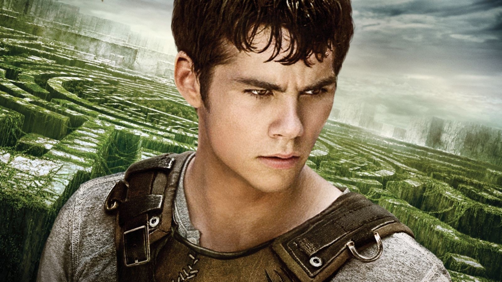The Maze Runner