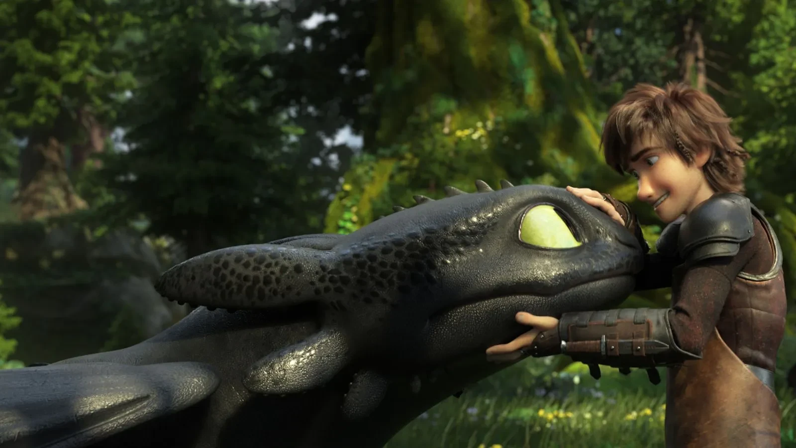 How to Train Your Dragon