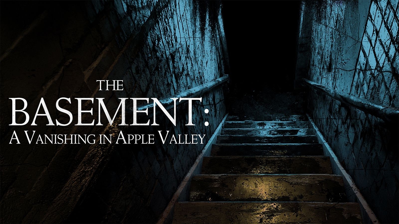 An image looking up from a basement at the stairs and the doorway, text on top of the image reads The Basement a Vanishing in Apple Valley