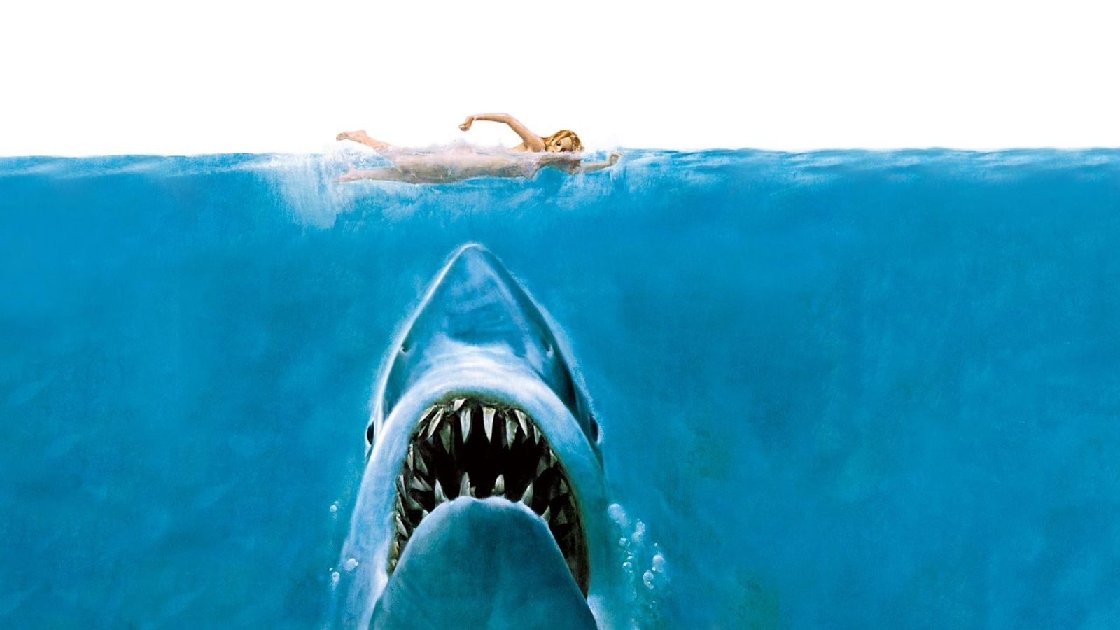 A shark in blue water with someone swimming above