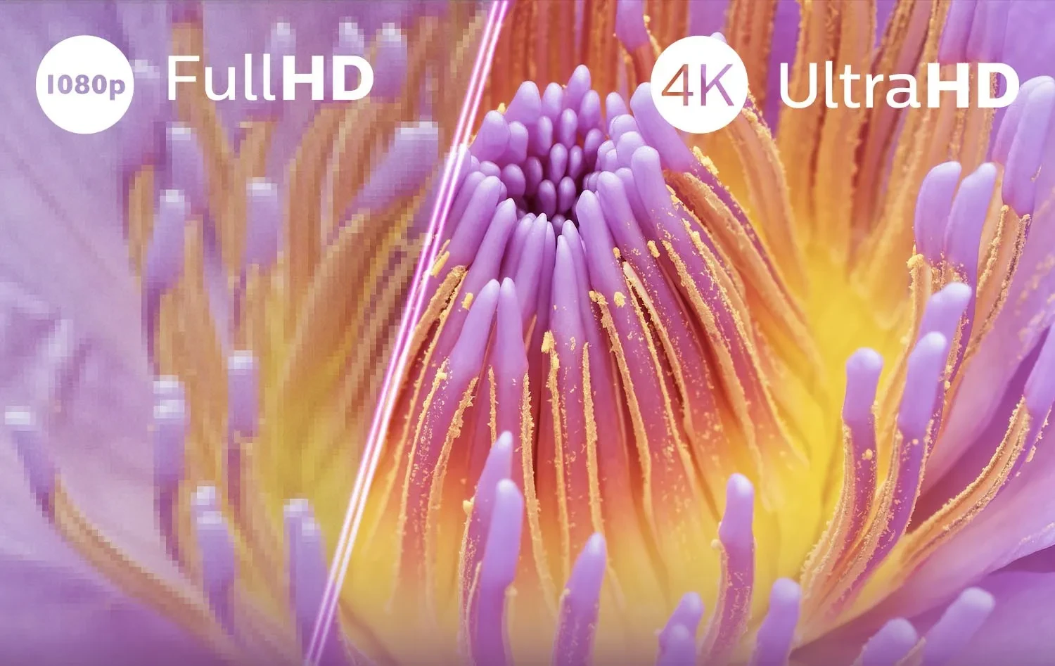 Ultra HD PUS8000 