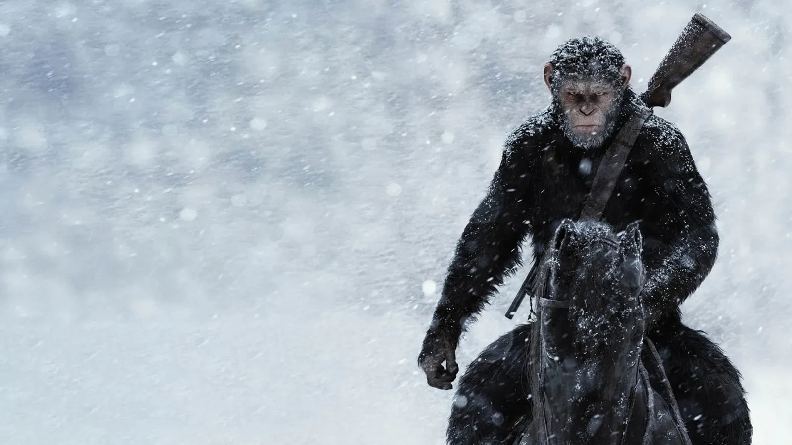 Promotional image for the 2017 film War for the Planet of the Apes, showing an ape riding a horse through heavy snowfall with a rifle slung across its back. The scene is set against a cold, wintry backdrop with swirling snow.