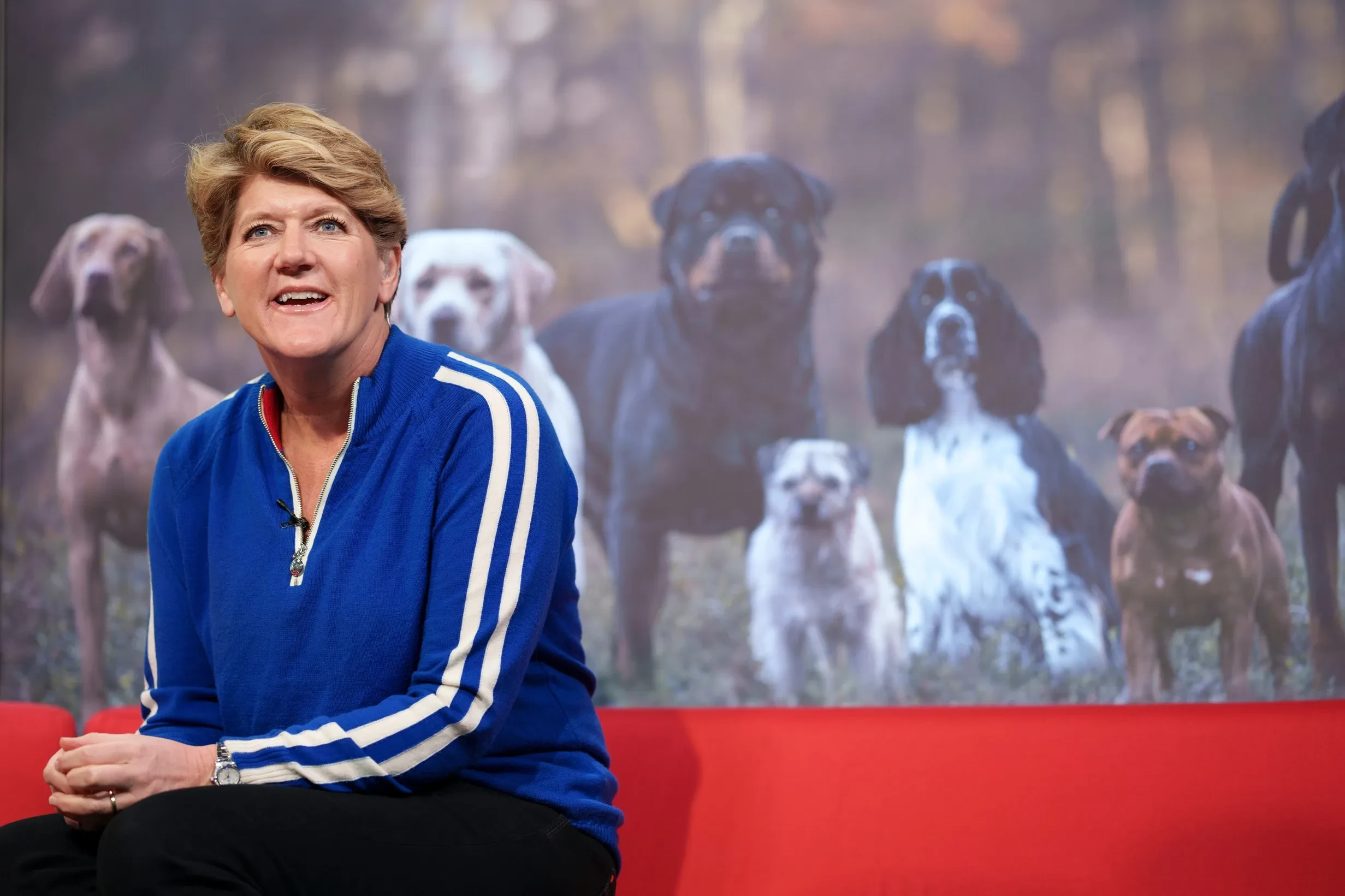 Crufts hosted by Clare Balding, who sits in front of a screen showing dogs